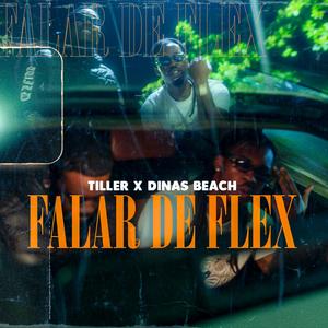 Falar de Flex (feat. DINAS BEACH) [Explicit]