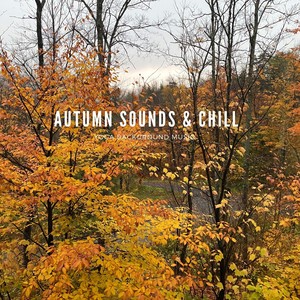 Autumn Sounds & Chill