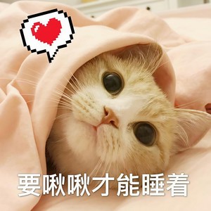 等不来花开