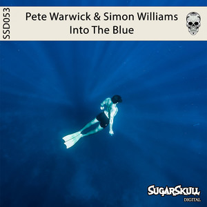 Into The Blue (Original Mix)