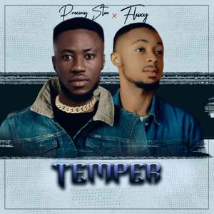 Temper (feat. Fluxy)