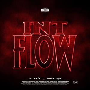 INT FLOW (Explicit)