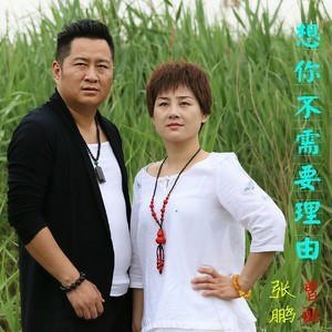 想你不需要理由 (伴奏)