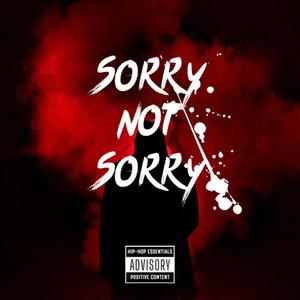 Sorry not sorry (Explicit)