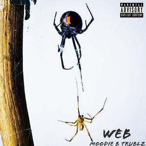 Web (Explicit)