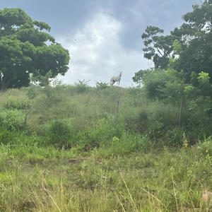 For me (feat. boy2) (Explicit)