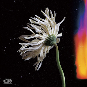 miss u(prod by pavilion xool)