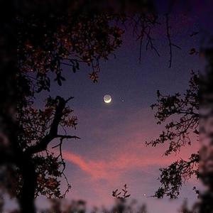 deep again (feat. kii.) (Explicit)