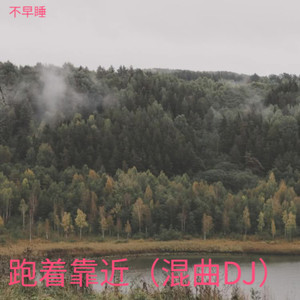 跑着靠近 (混曲DJ)