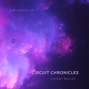 Circuit Chronicles