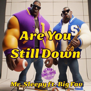 Are You Still Down (Slowed & Chopped)