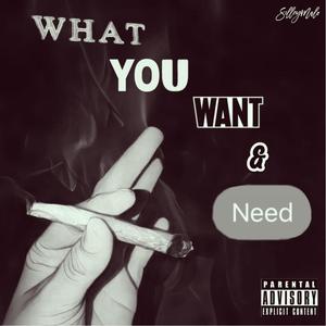 What You Want & Need