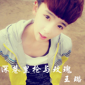 王璐 - 深巷里枪与玫瑰