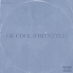 ok cool (freestyle) [Explicit]