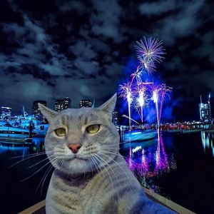 烟火里的尘埃 (咚鼓版)