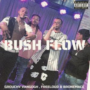 BUSH FLOW (Explicit)