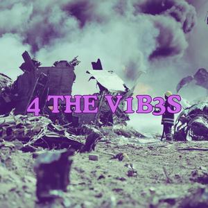 4 THE V1B3S