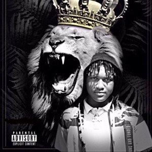 King Of The Jungle Vol.1