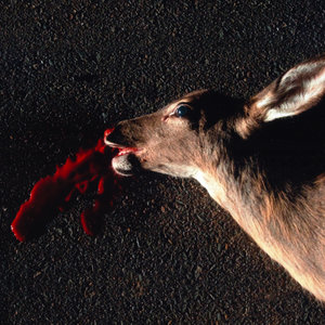 I Know You Are Tired, But Come. This is the Way.