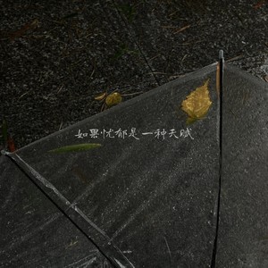 丢了破伞后才发现根本没雨