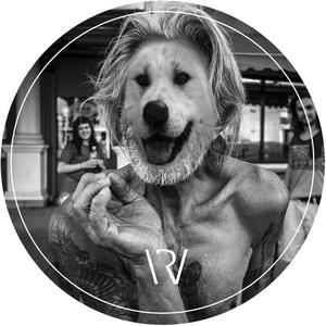 Elevate (Original Mix)