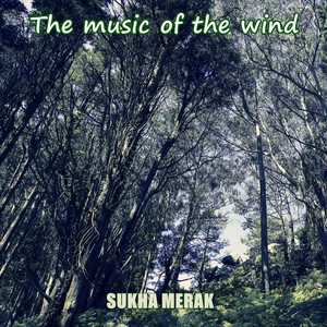 The Music of the Wind