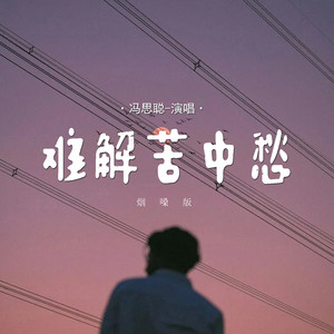 难解苦中愁 (烟嗓版)