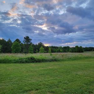 Paradise (feat. JXI & rachivii) (Explicit)