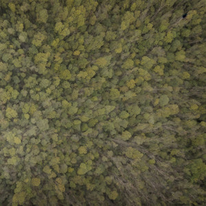 Chill Behind the Apartment Door