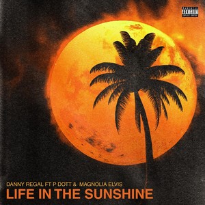 Life in the Sunshine (feat. P.DOTT & Magnolia Elvis) (Explicit)
