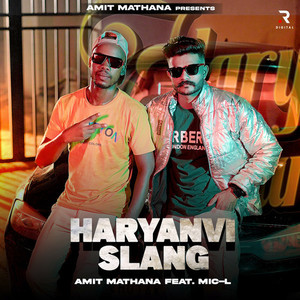 Haryanvi Slang