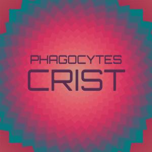 Phagocytes Crist