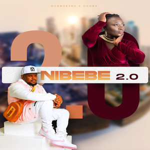 Nibebe 2.0