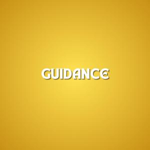 Guidance (Explicit)