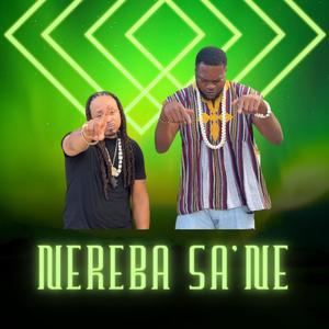 NEREBA SA'NE (feat. Rabiu Viscon) (Explicit)