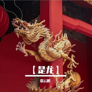 是龙 - 张云鹏封面
