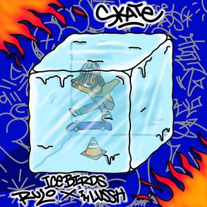 skate! (feat. Icebirds) (Explicit)