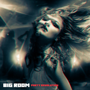 Big Room Party Revolution