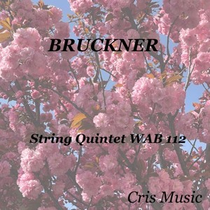 String Quintet WAB 112 - 2. Andante quasi allegretto