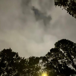 no solution (feat. Mobeaty) (Explicit)