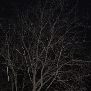 Чистым из болота