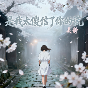 是我太傻信了你的谎 (伴奏)封面