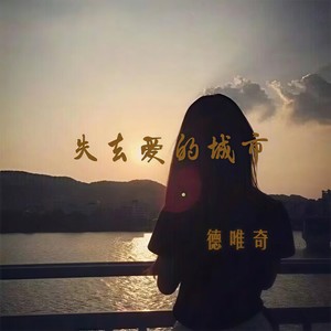 失去爱的城市 (最新DJ版)