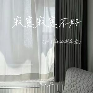 寂寞寂寞不好(拼了命的刷存在)