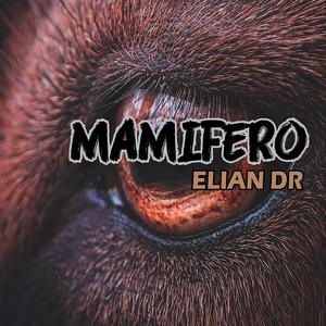 MAMIFERO