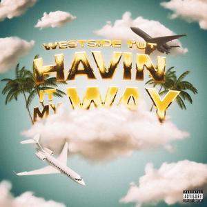 Havin It My Way (Explicit)