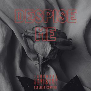 Despise Me (feat. Ryanisjaminup) [Explicit]