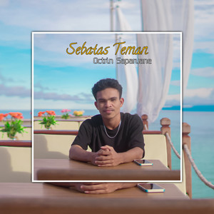 Sebatas Teman