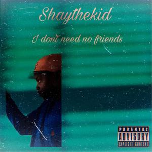 l don't need no friends (Explicit)