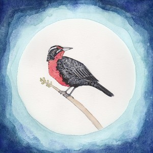 Río(feat. Gina Savino)